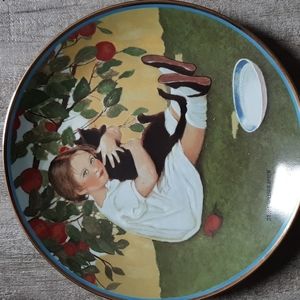 Collector plate